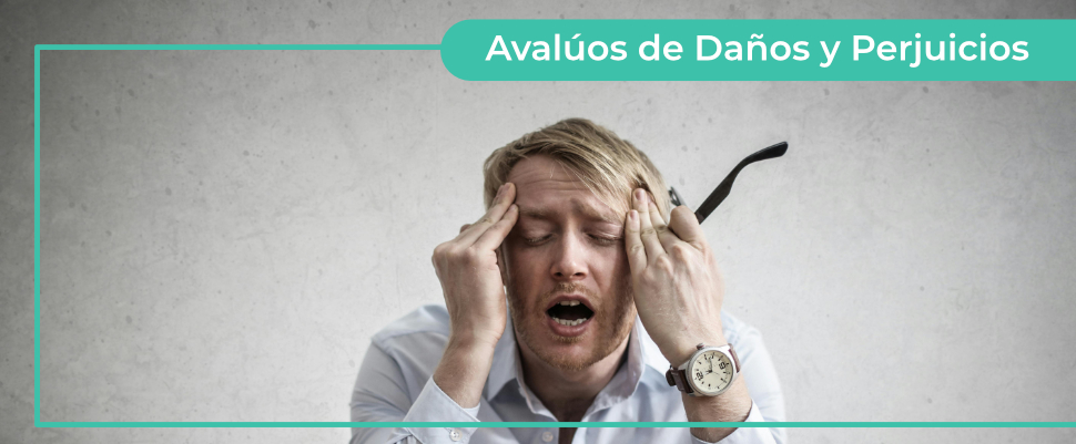 Valoracion de software Ingenio Avalúos